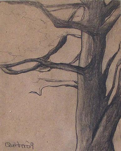 Cedar