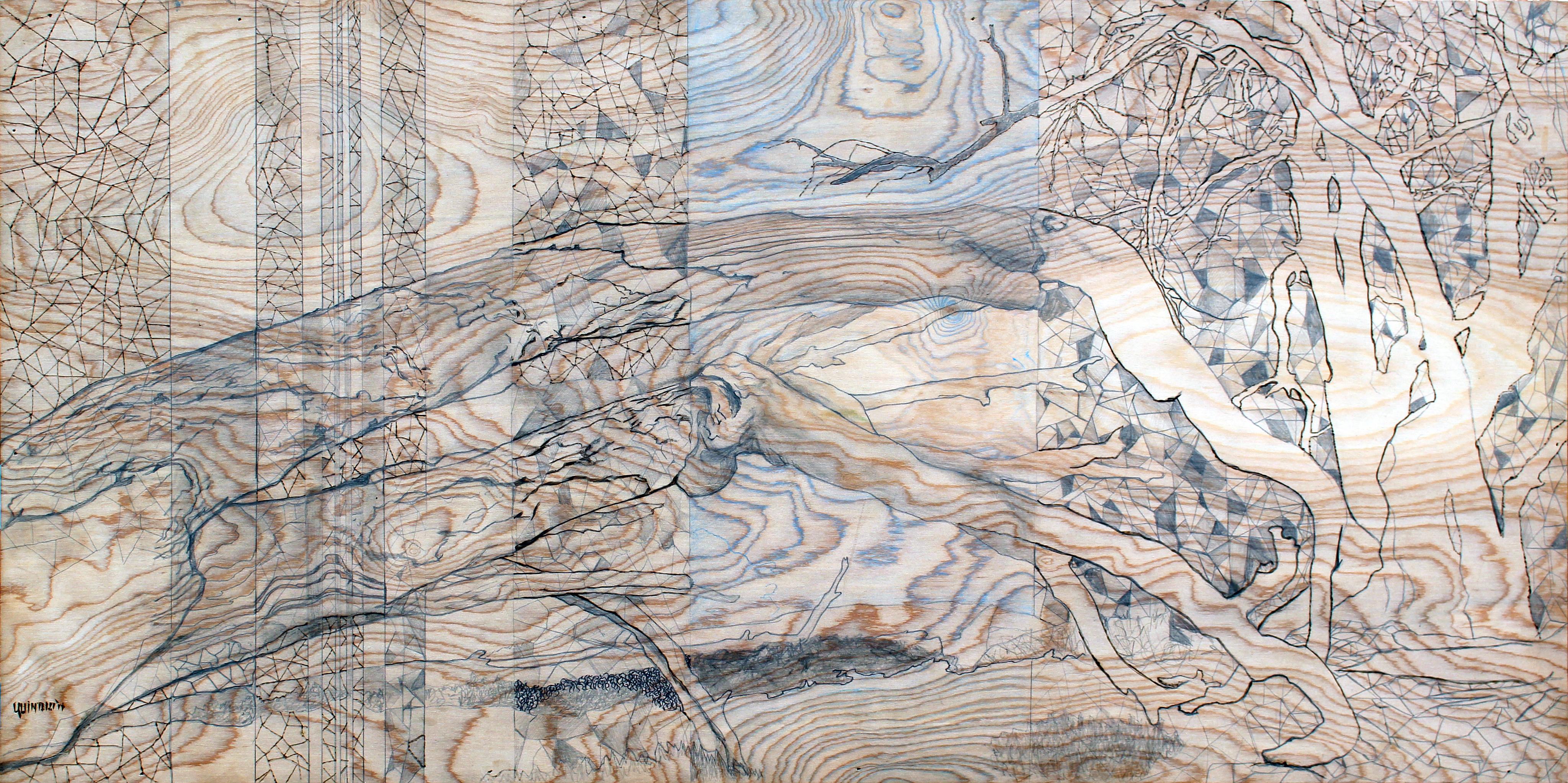 mixed media, contemporary art, contemporary mixed media, wood burning, landscape, trees, eucalyptus, monarch grove, Pismo Beach, magical realism, surrealism, contemporary abstraction, figurative art, Central Coast, architectural, architecture, organic for