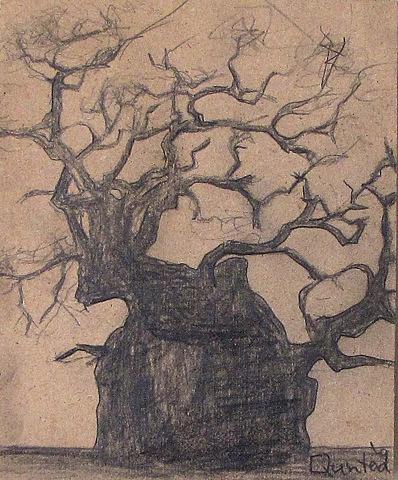 Oak 2