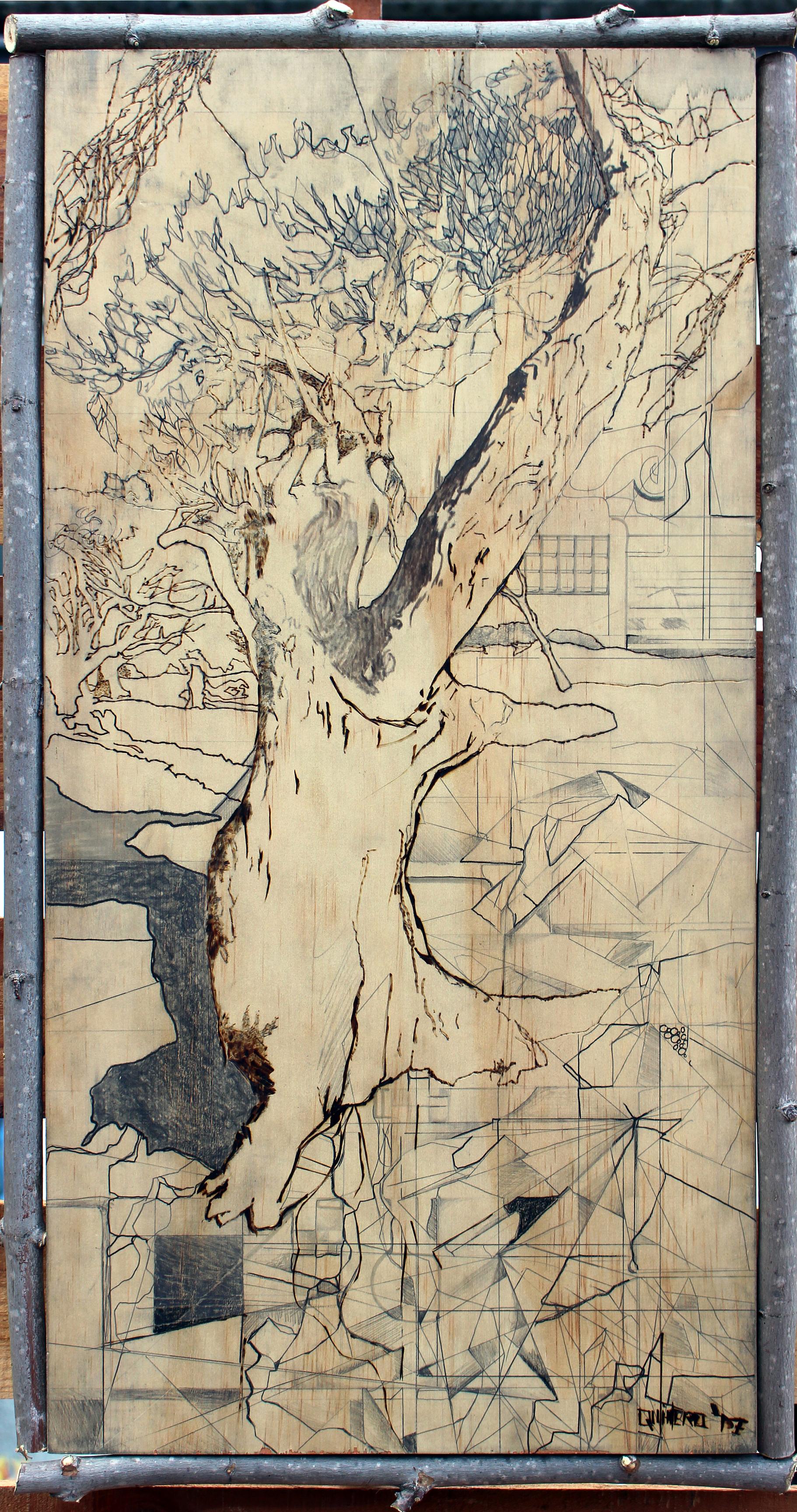 mixed media, contemporary art, contemporary mixed media, wood burning, landscape, trees, eucalyptus, monarch grove, Pismo Beach, magical realism, surrealism, contemporary abstraction, figurative art, Central Coast, architectural, architecture, organic for