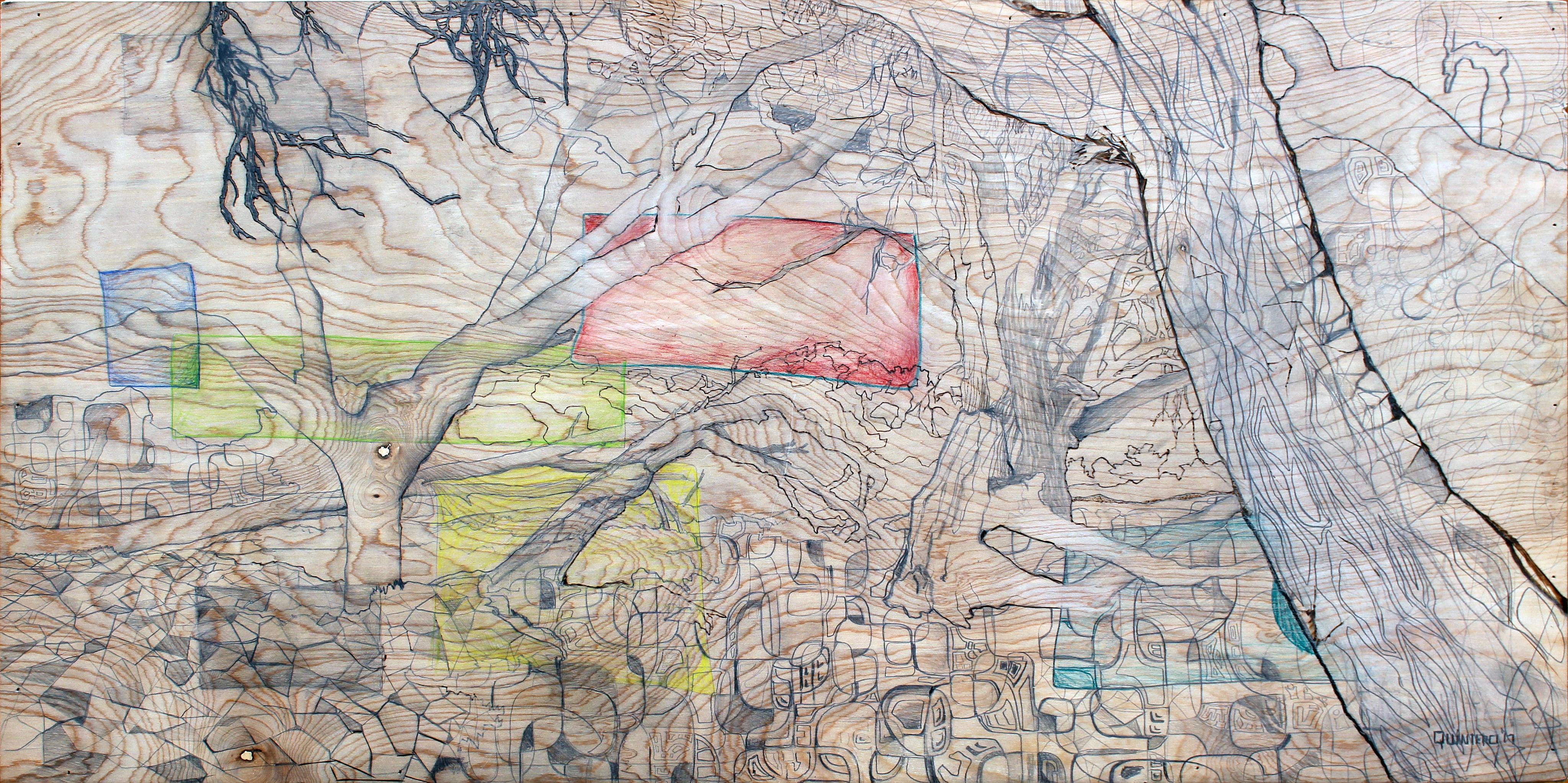 mixed media, contemporary art, contemporary mixed media, wood burning, landscape, trees, eucalyptus, monarch grove, Pismo Beach, magical realism, surrealism, contemporary abstraction, figurative art, Central Coast, architectural, architecture, organic for