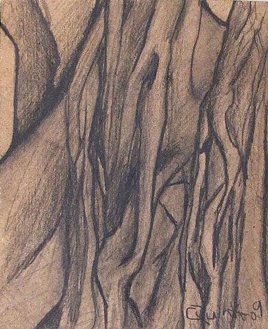 Banyan